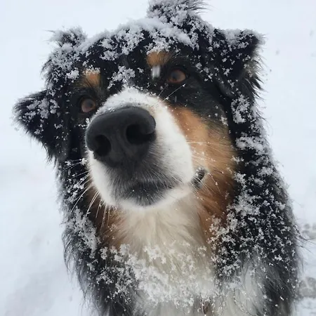 Kleines Paradies Montafon * Bartholomaeberg