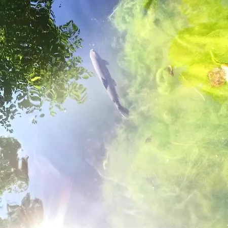 Kleines Paradies Montafon Apartment