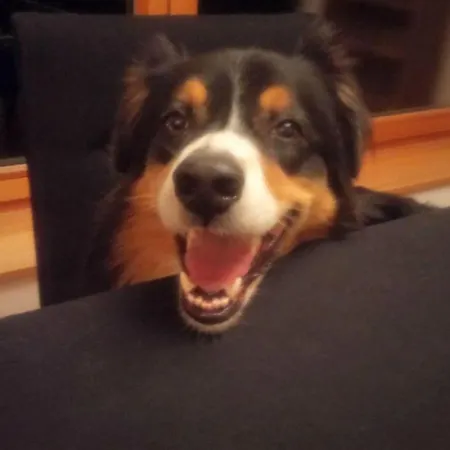 Kleines Paradies Montafon Apartment Bartholomaeberg