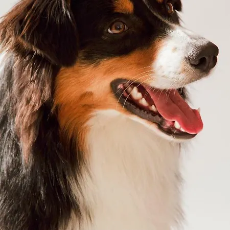 Apartment Kleines Paradies Montafon